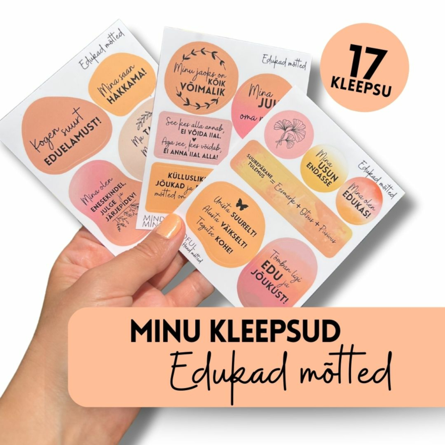 MINI komplekt: märkmiku kleepsud "EDUKAD MÕTTED"
