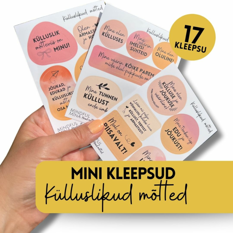 MINI komplekt: märkmiku kleepsud "KÜLLUSLIKUD MÕTTED"