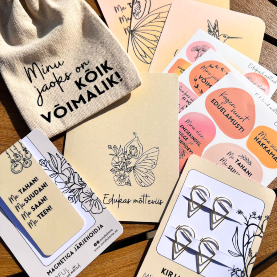 MINI KOMPLEKT Märkmiku aksessuaarid - Edukas mõtteviis