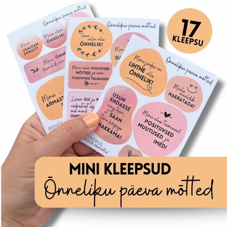 MINI komplekt: märkmiku kleepsud "ÕNNELIKU PÄEVA MÕTTED"